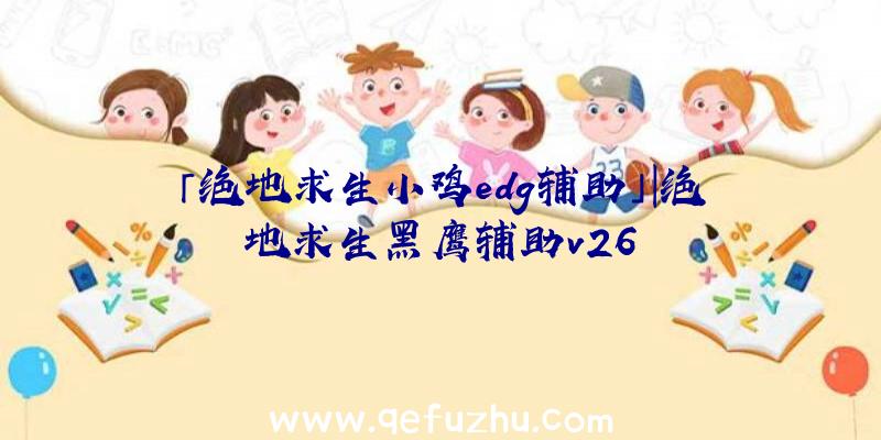 「绝地求生小鸡edg辅助」|绝地求生黑鹰辅助v26